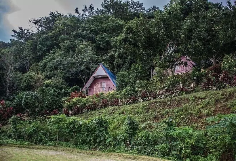 Hotelli Ukrist Farm Hill Resort