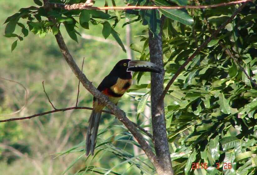 هتل Y Termas Jilamito