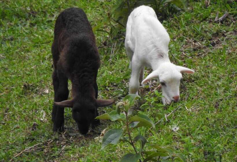 هتل Y Termas Jilamito