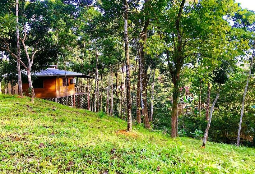 هتل Y Termas Jilamito