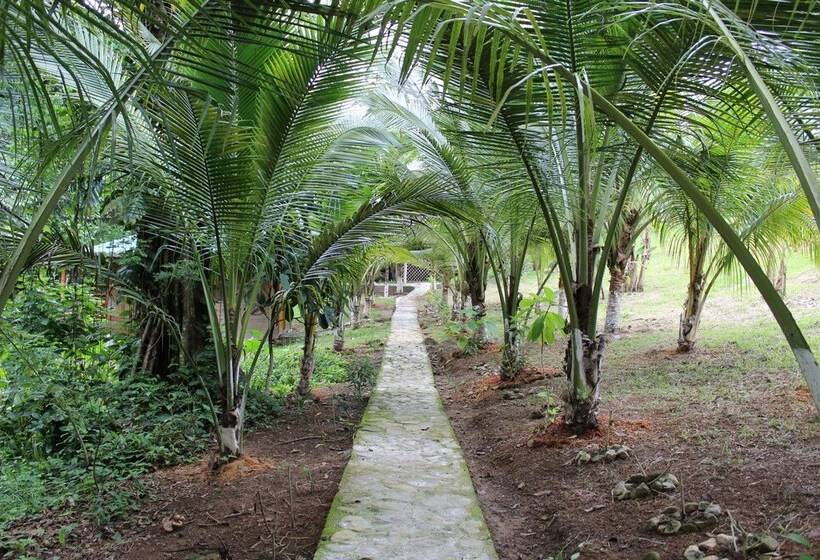 هتل Y Termas Jilamito