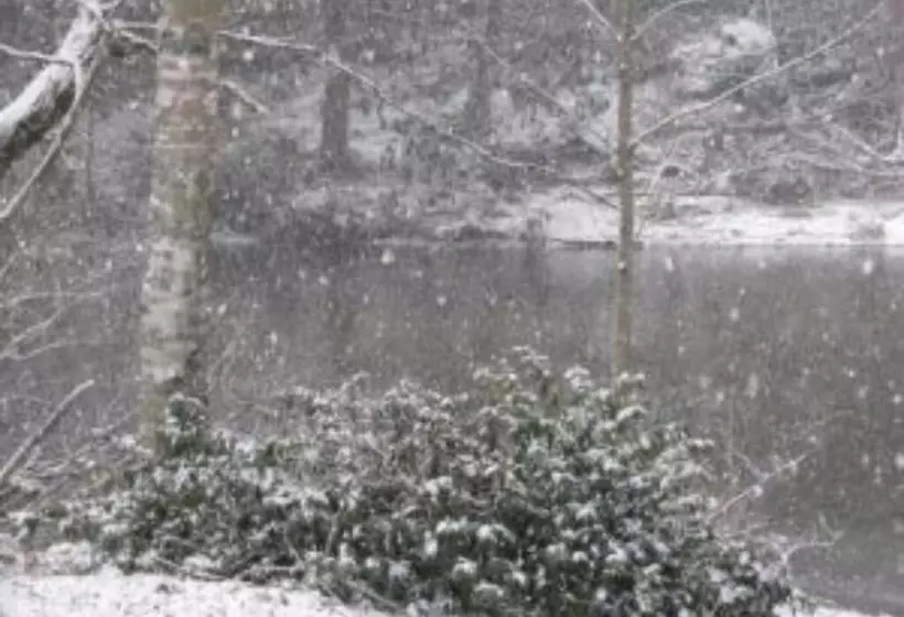 Linville River Log Cabins