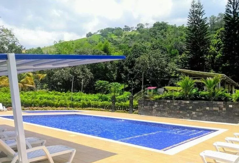 Mandala Hotel Concept