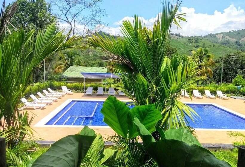 Mandala Hotel Concept