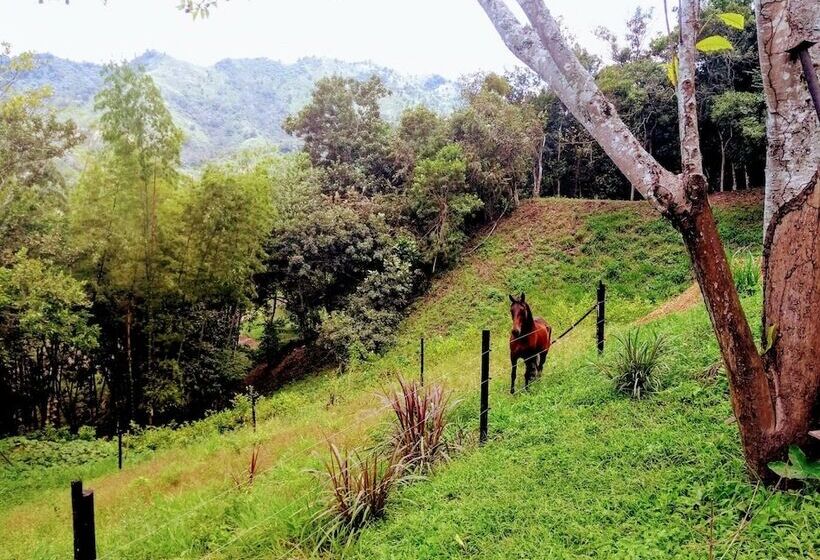 Mandala Hotel Concept