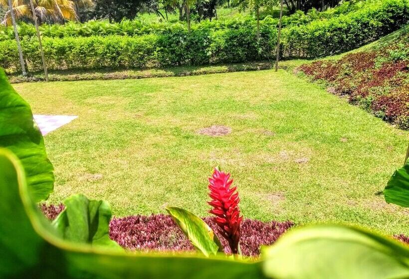 Mandala Hotel Concept