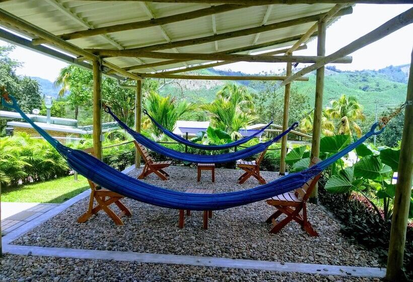 Mandala Hotel Concept