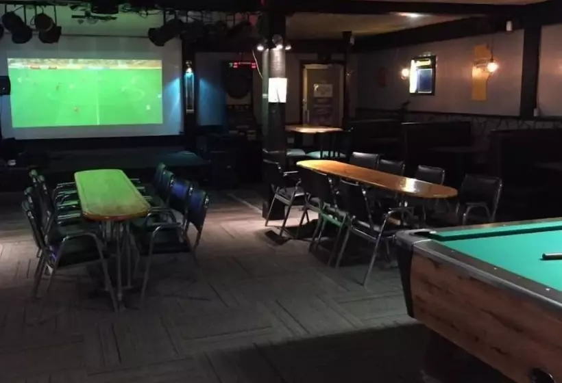 Motelli Ashern Motor