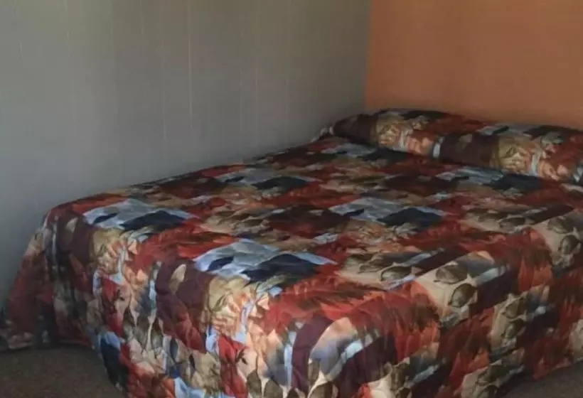 Motelli Ashern Motor