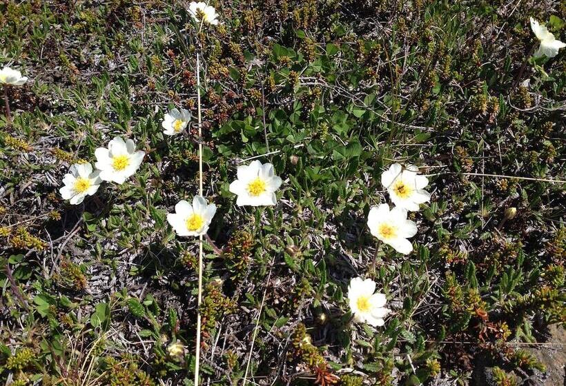 פנסיון Arnarnes Paradis