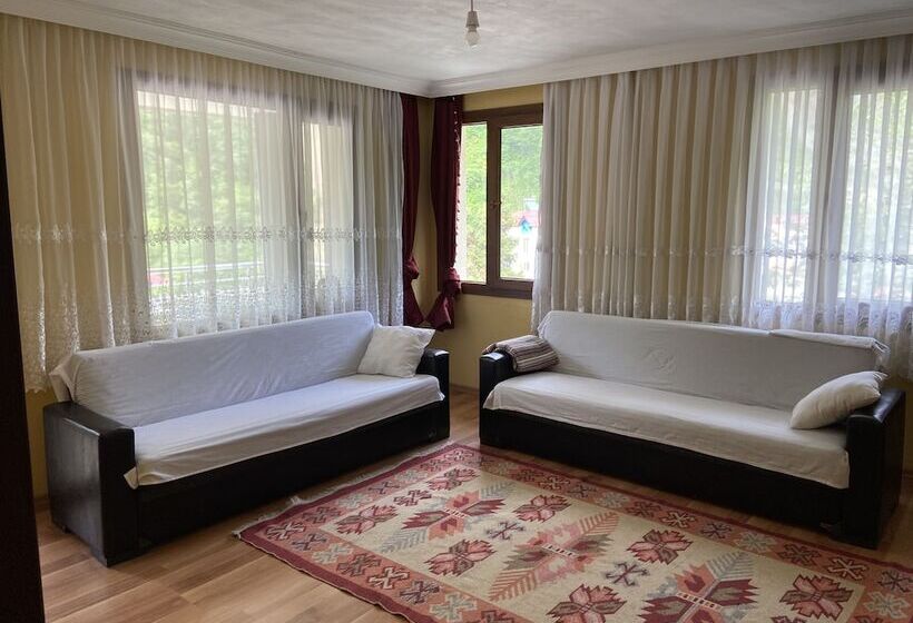 بنسيون Lombane Apart