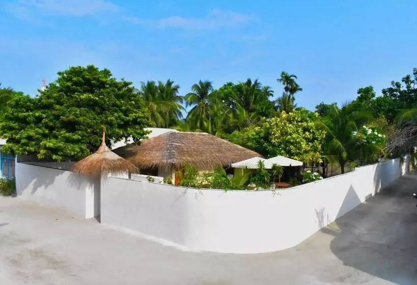 پانسیون Summer Home