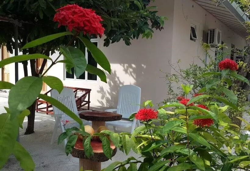 پانسیون Summer Home