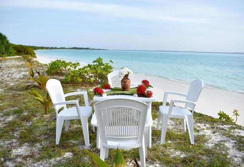 پانسیون Summer Home