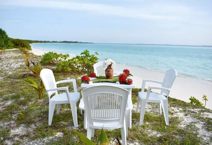 پانسیون Summer Home