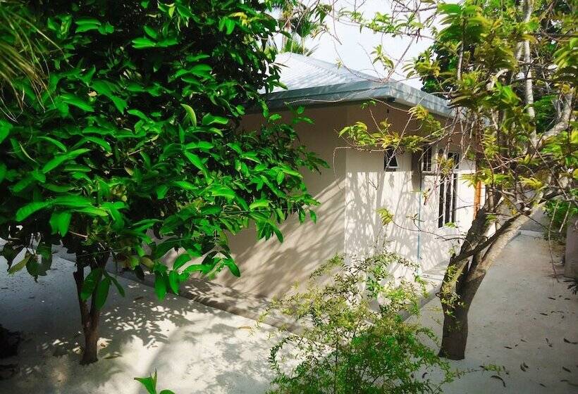 پانسیون Summer Home