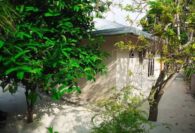 پانسیون Summer Home