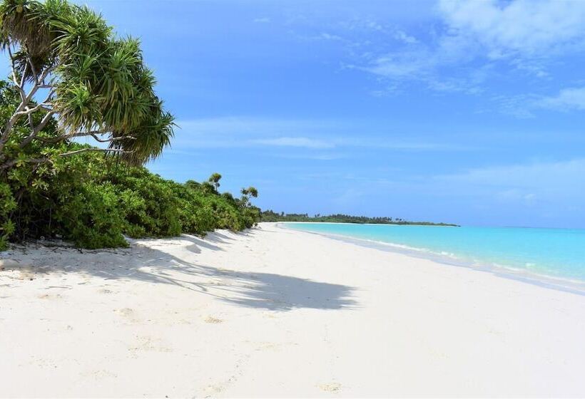 پانسیون Summer Home