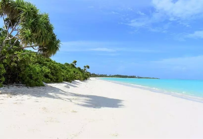 پانسیون Summer Home