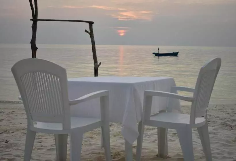 پانسیون Summer Home