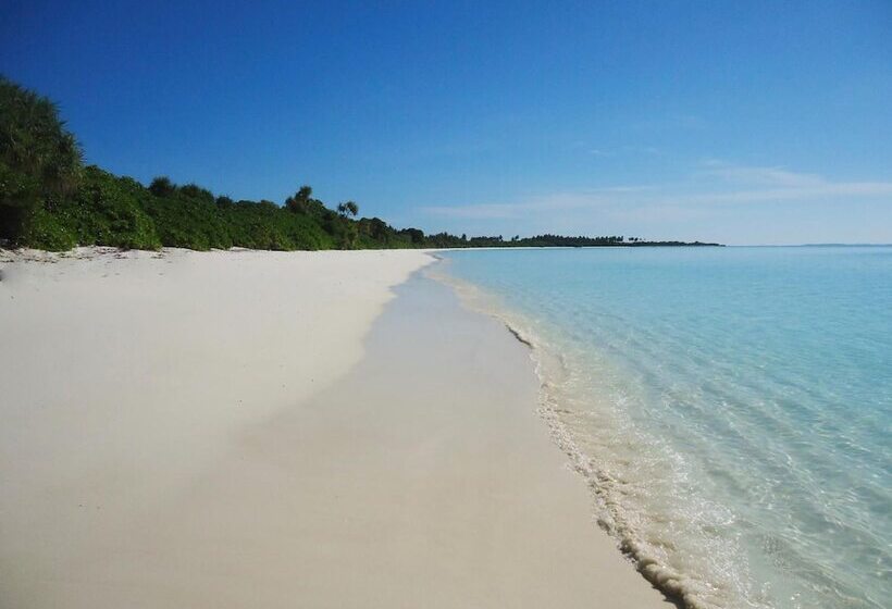 پانسیون Summer Home