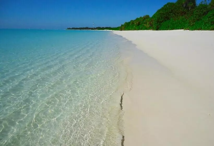 پانسیون Summer Home