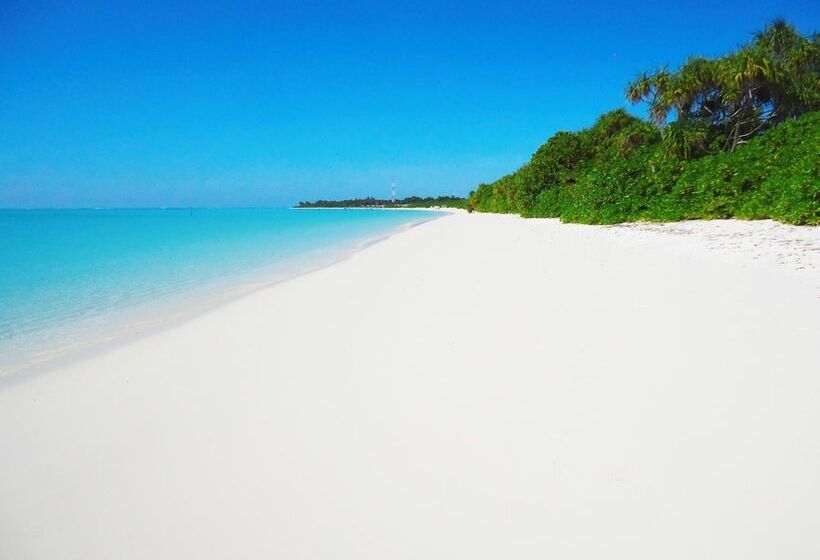 پانسیون Summer Home