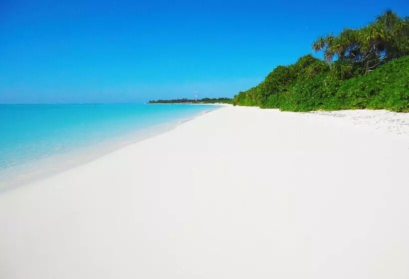 پانسیون Summer Home