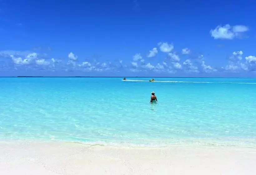 پانسیون Summer Home