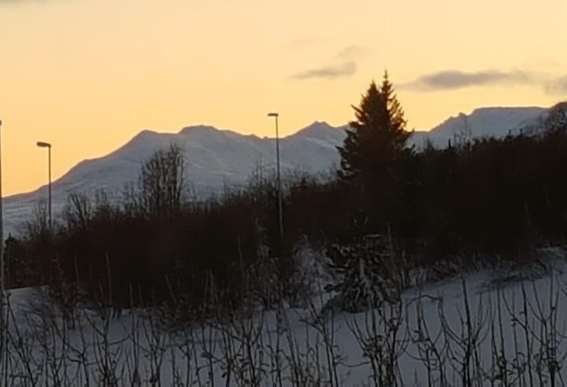 پانسیون The Viking Country Club