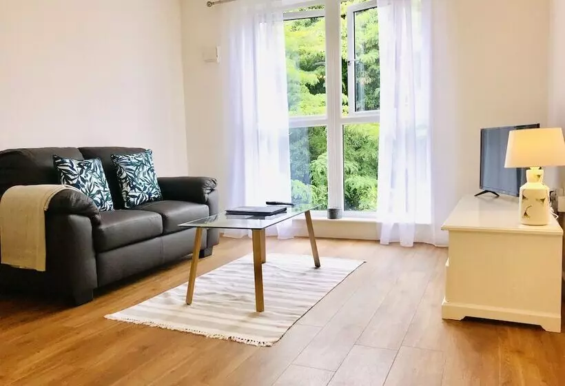 Sfa New Central Woking