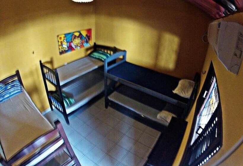 Hakuna Matata Hostel Bar