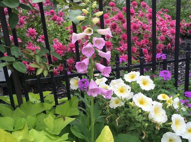 تختخواب و صبحانه Annie Wiggins Guest House