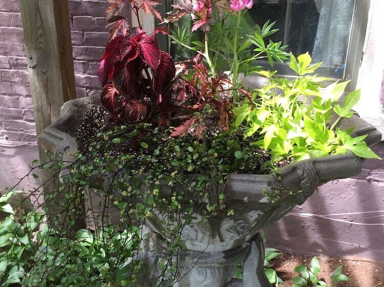 تختخواب و صبحانه Annie Wiggins Guest House