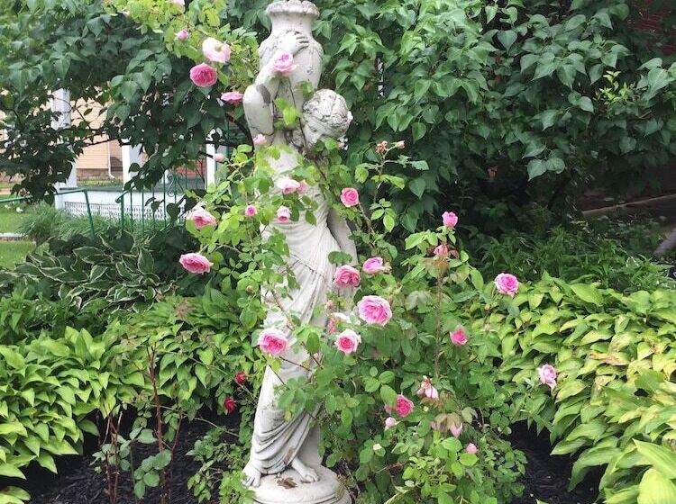 تختخواب و صبحانه Annie Wiggins Guest House