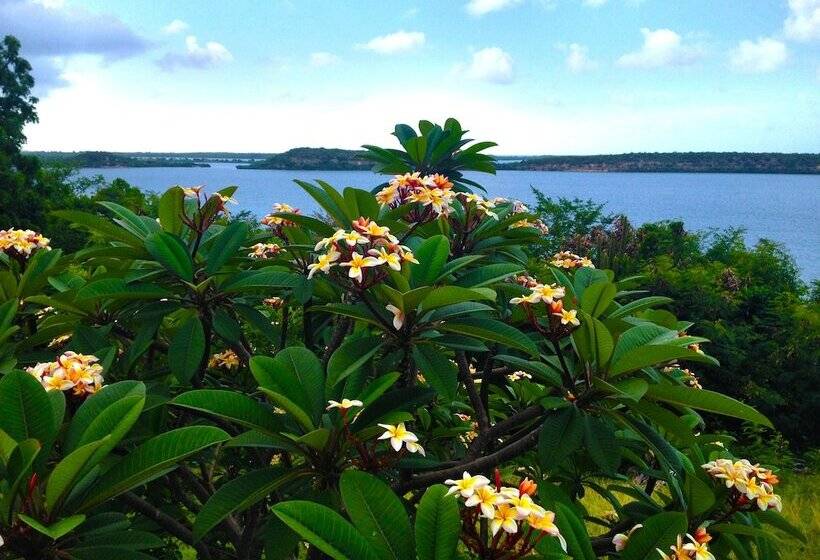 تختخواب و صبحانه Blue Bay Antigua