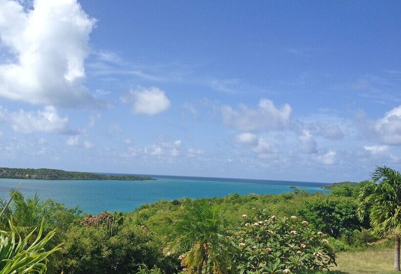 تختخواب و صبحانه Blue Bay Antigua