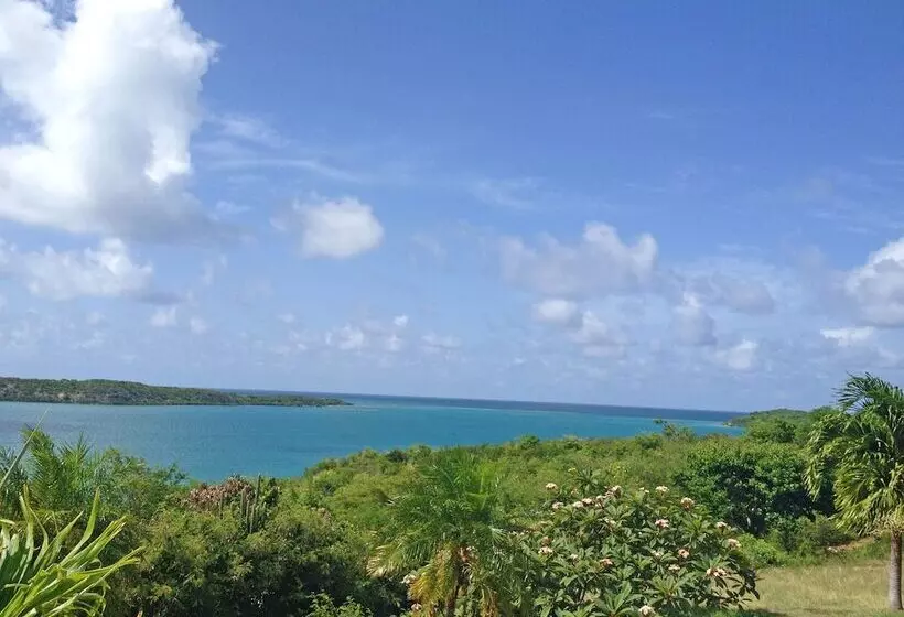 تختخواب و صبحانه Blue Bay Antigua