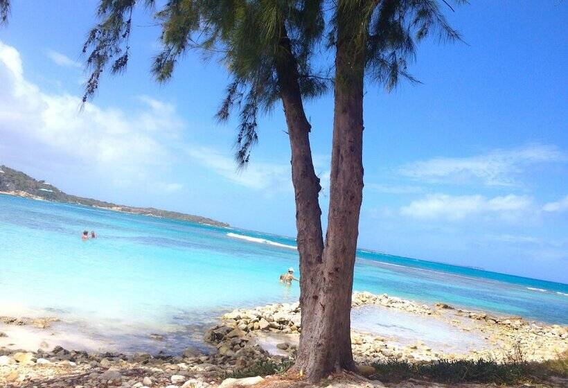 تختخواب و صبحانه Blue Bay Antigua