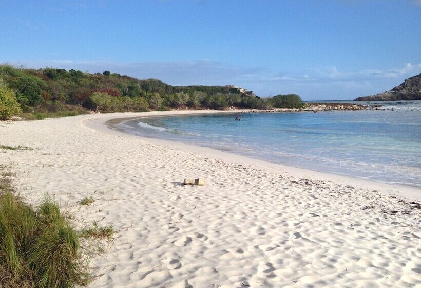 تختخواب و صبحانه Blue Bay Antigua