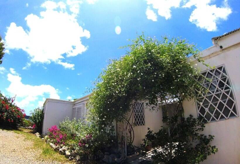 تختخواب و صبحانه Blue Bay Antigua