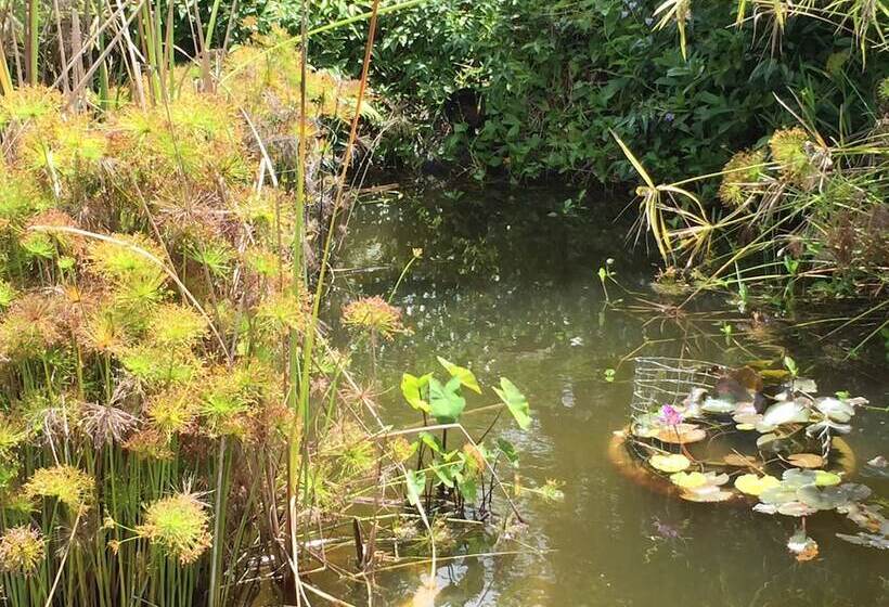 Lézard Home Bed And Breakfast