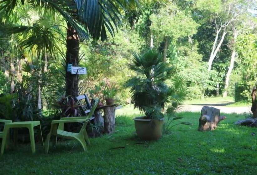 Lézard Home Bed And Breakfast