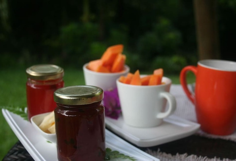 Lézard Home Bed And Breakfast