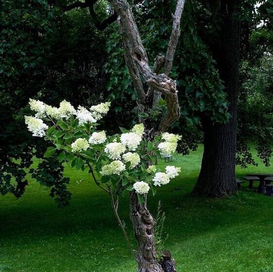 צימר Clonmel Castle