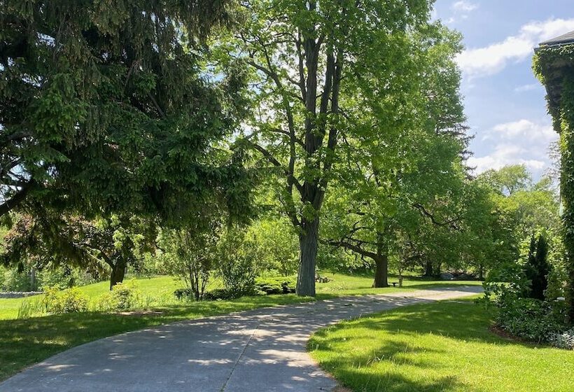 צימר Clonmel Castle