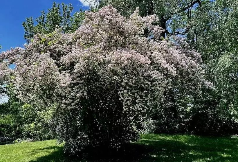 Aamiaismajoitus (B&B) Clonmel Castle