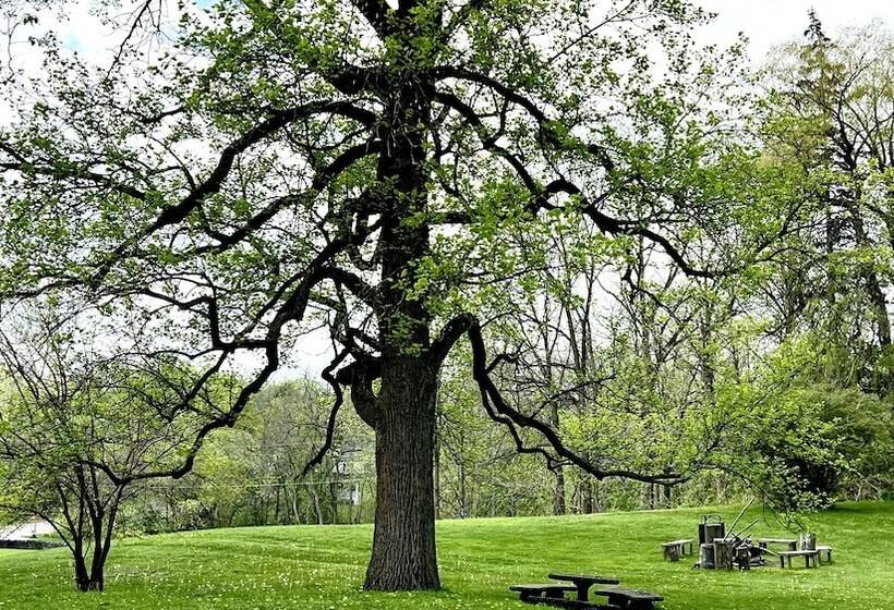 צימר Clonmel Castle