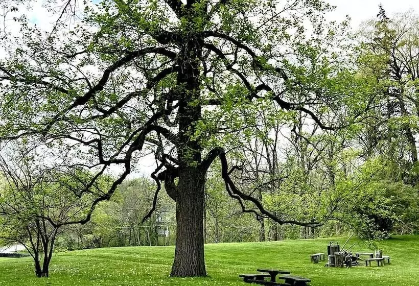 Aamiaismajoitus (B&B) Clonmel Castle