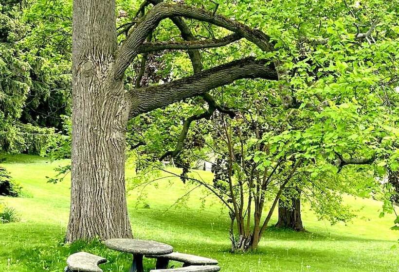 צימר Clonmel Castle